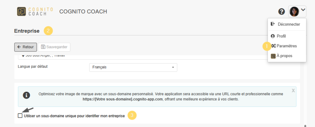 Sous domaine dans Cognito Coach